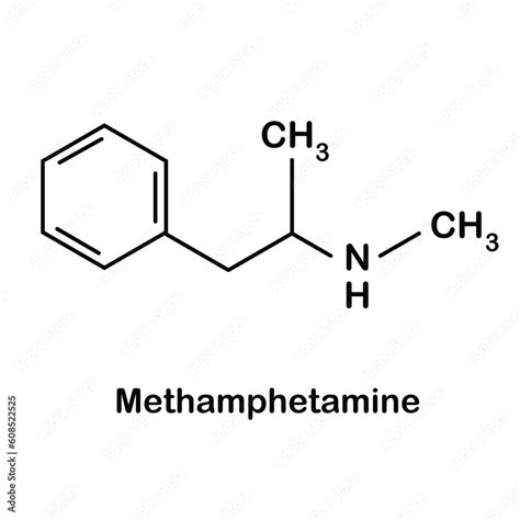 the amphetamines are structurally similar to